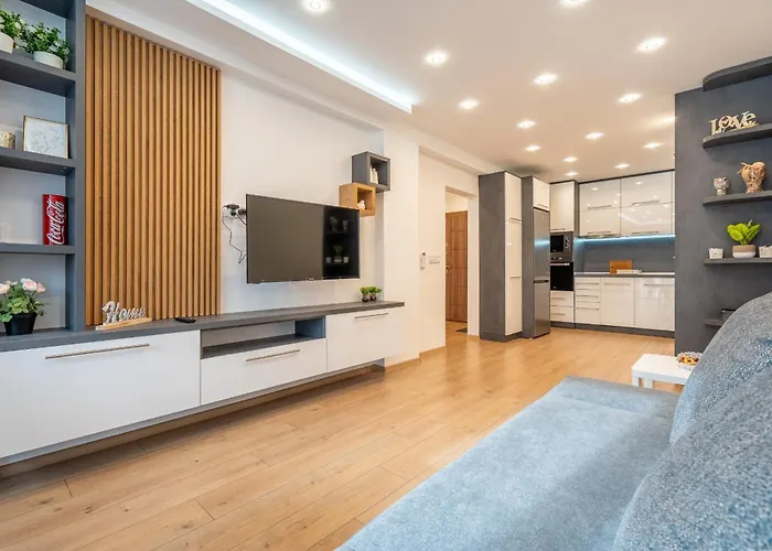 Zenith * ソフィア